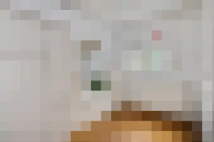 Verbindingsweg 28 Elst Ut thumbnail 11