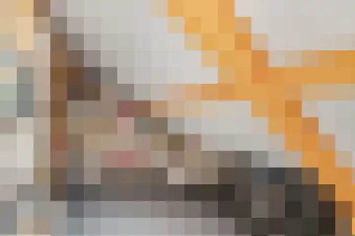Verbindingsweg 28 Elst Ut thumbnail 29