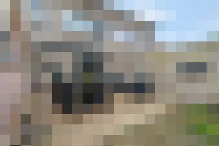 Verbindingsweg 28 Elst Ut thumbnail 34
