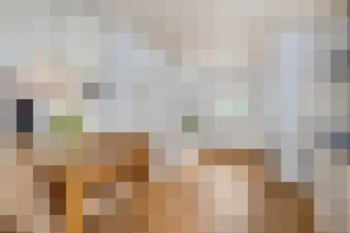 Verbindingsweg 28 Elst Ut thumbnail 8