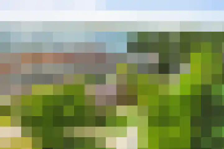 Verbindingsweg 3 Westerland thumbnail 35