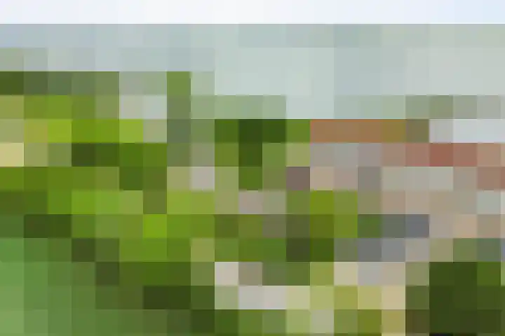 Verbindingsweg 3 Westerland thumbnail 4