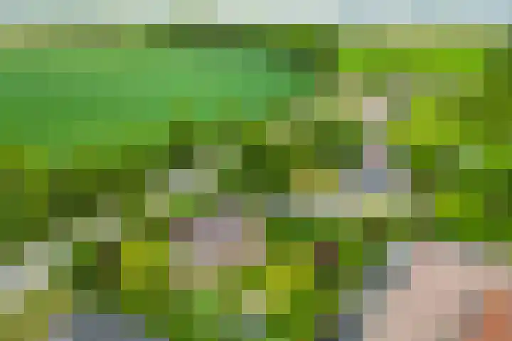 Verbindingsweg 3 Westerland thumbnail 5