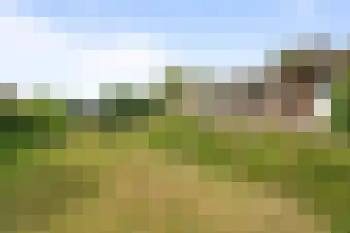 Verbindingsweg 3 Westerland thumbnail 9