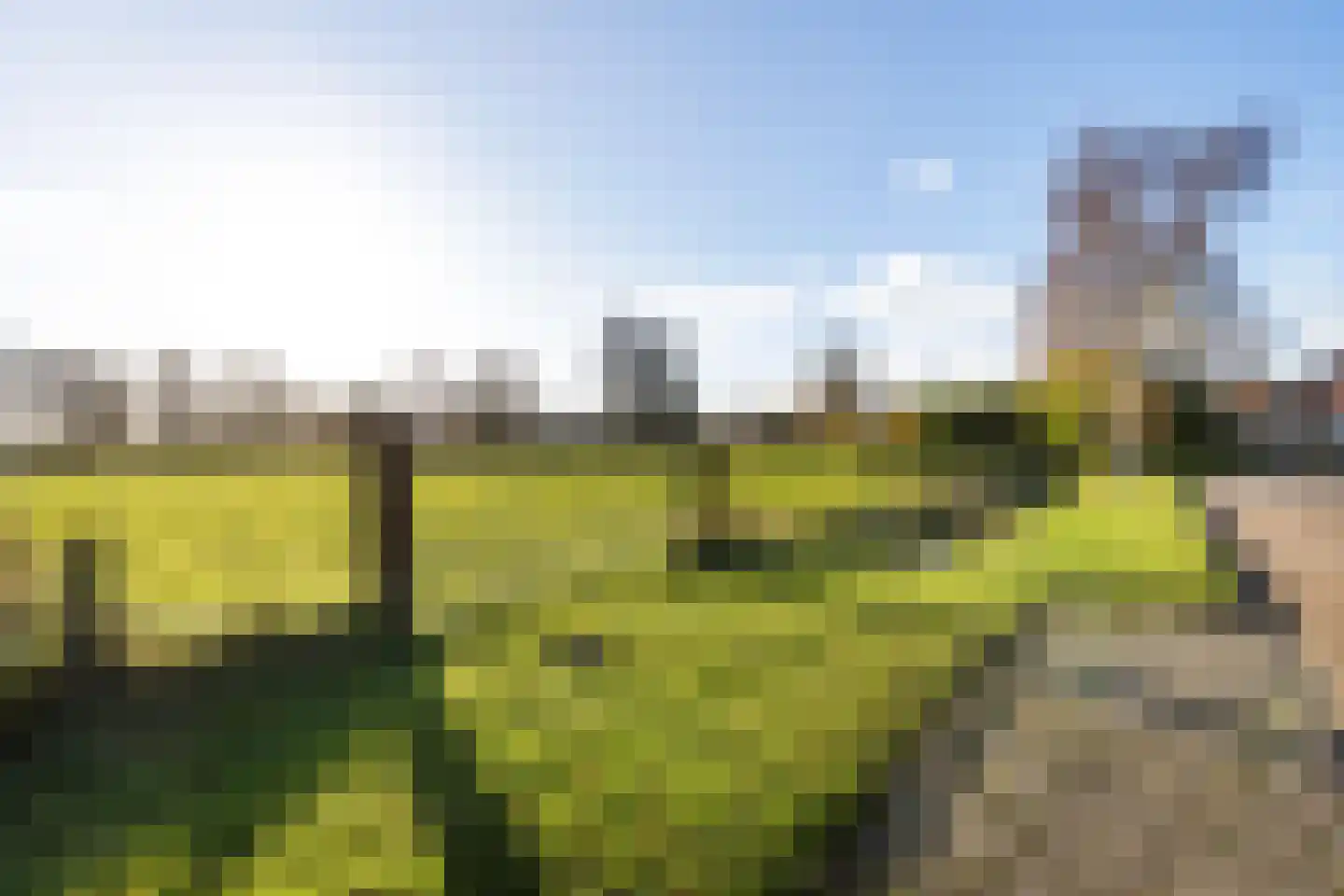 Verbindingsweg 31 Wagenborgen foto 2