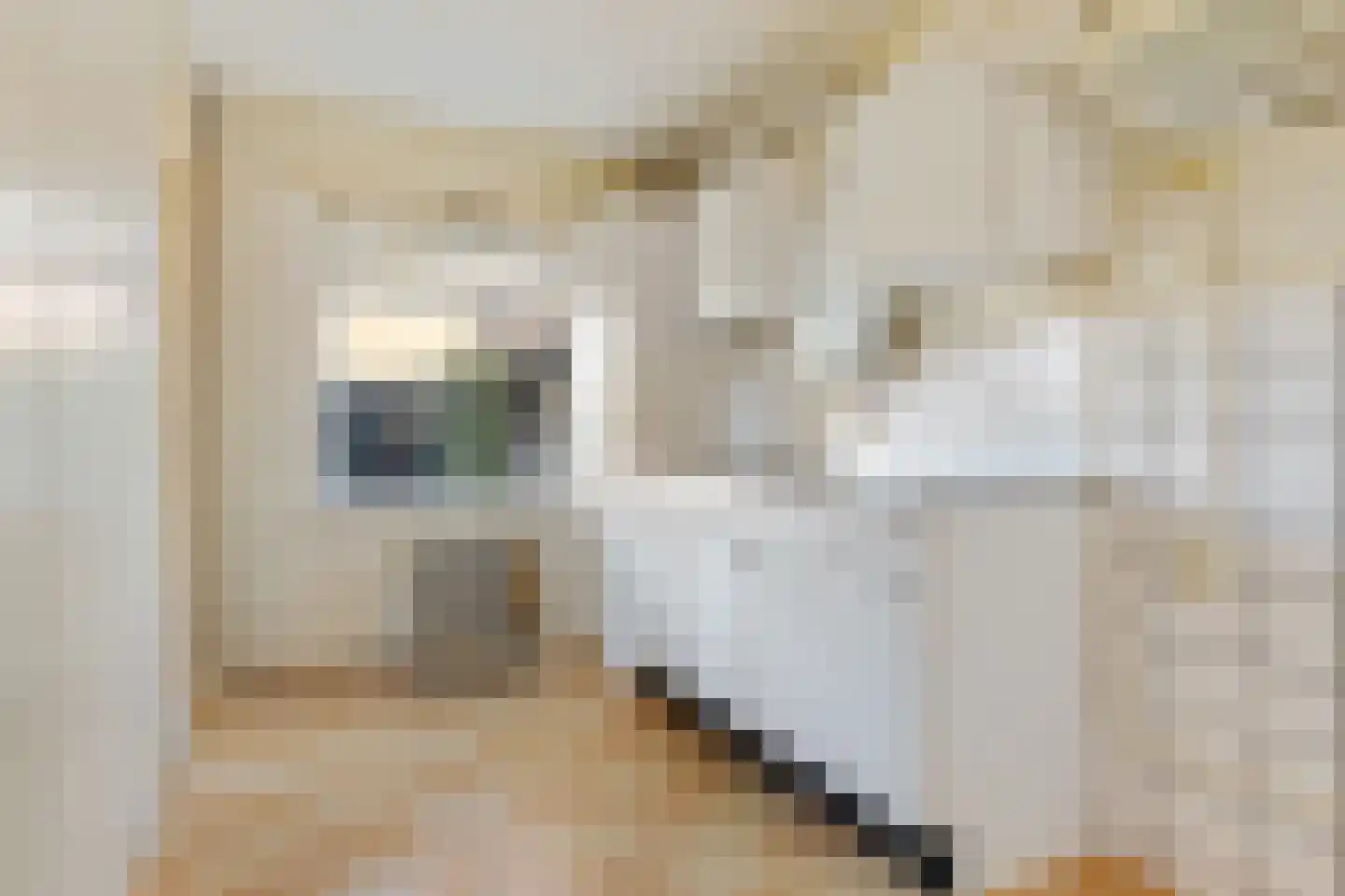 Verbindingsweg 31 Wagenborgen thumbnail 29