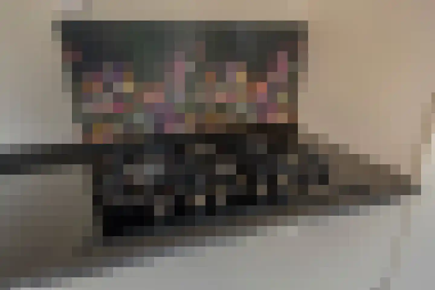 Verbindingsweg 32 Elst Ut thumbnail 15