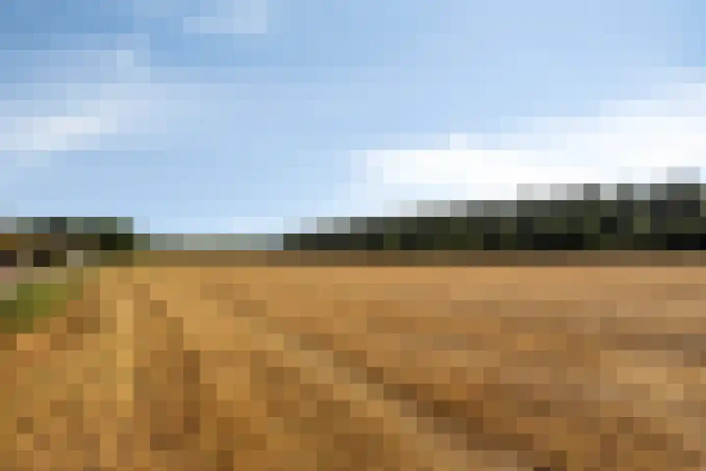 Verbindingsweg 32 Elst Ut thumbnail 40