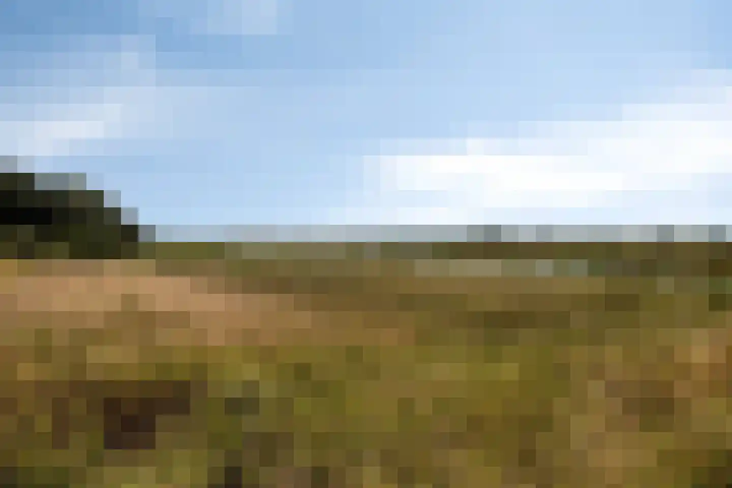 Verbindingsweg 32 Elst Ut thumbnail 41
