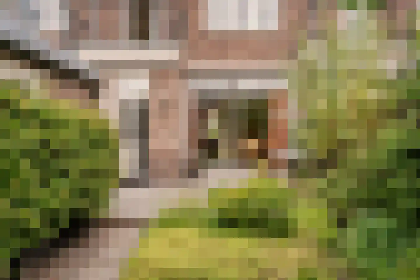 Verbindingsweg 33 Bloemendaal thumbnail 19