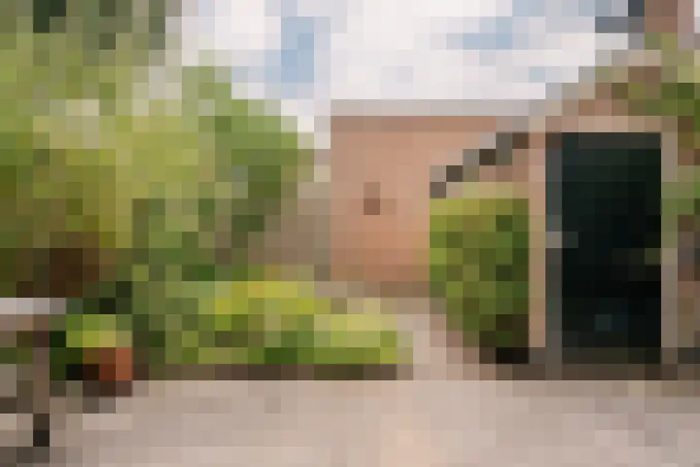 Verbindingsweg 33 Bloemendaal thumbnail 4