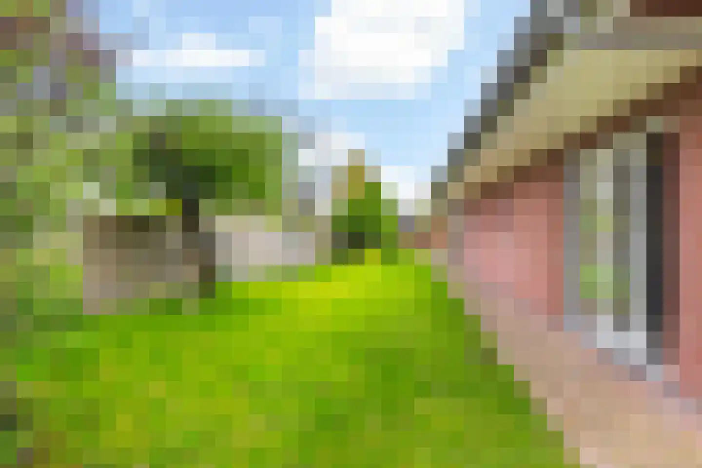 Verbindingsweg 33 Elst Ut thumbnail 38
