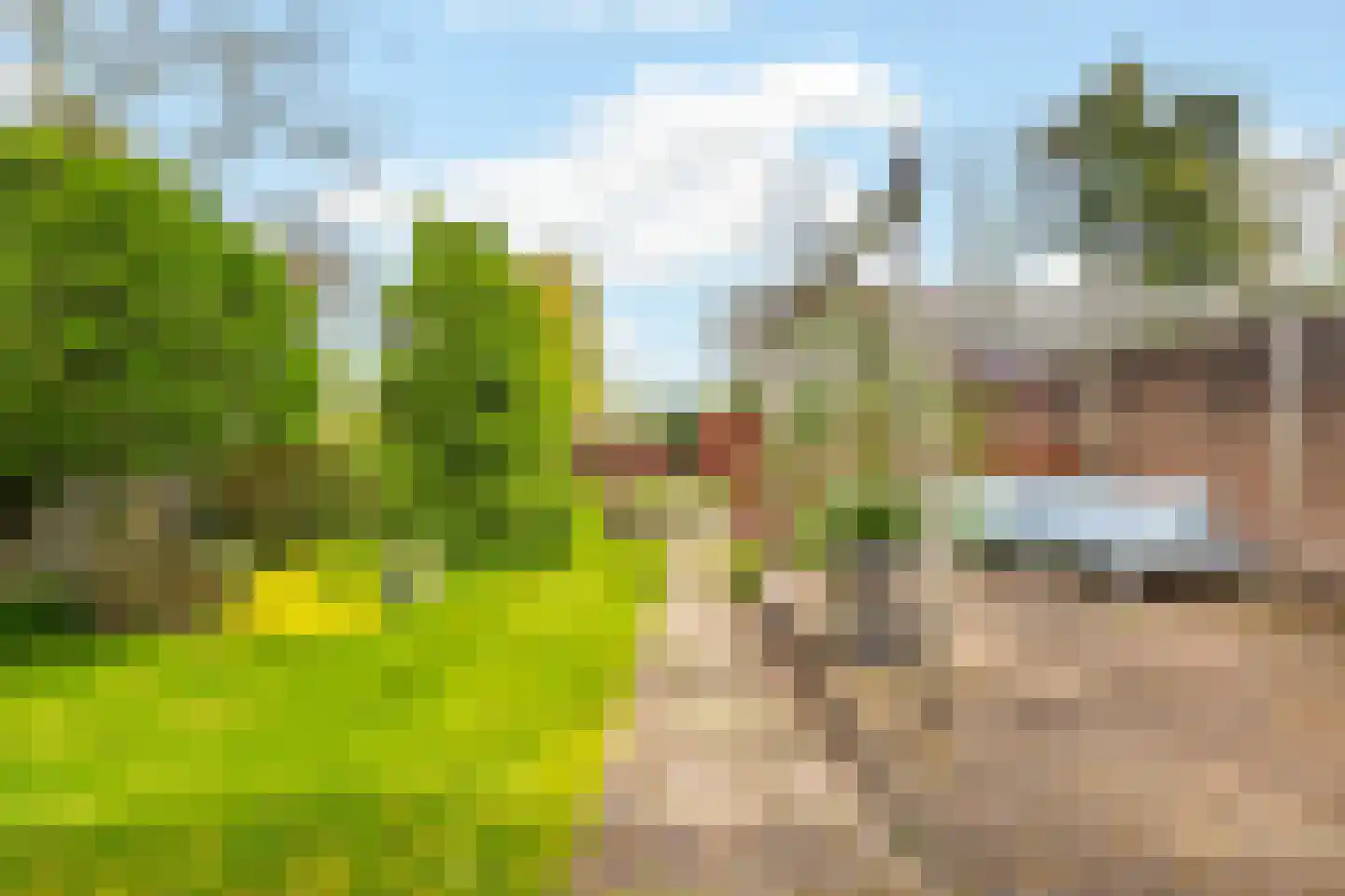 Verbindingsweg 33 Elst Ut thumbnail 39