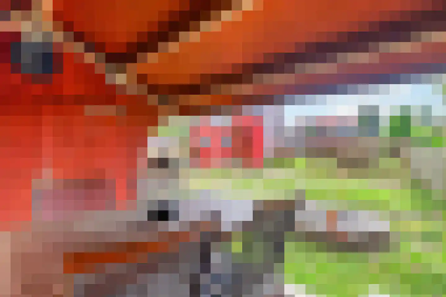 Verbindingsweg 33 Elst Ut thumbnail 46