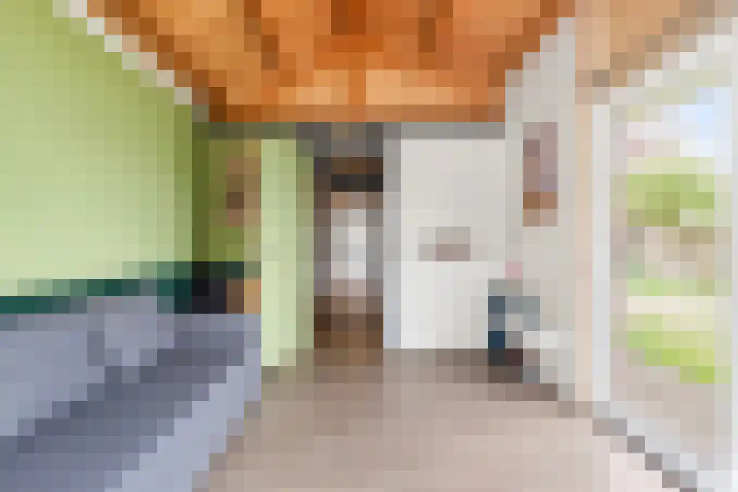 Verbindingsweg 33 Elst Ut thumbnail 58