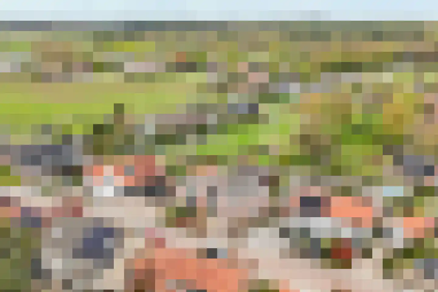 Verbindingsweg 33 Elst Ut thumbnail 59