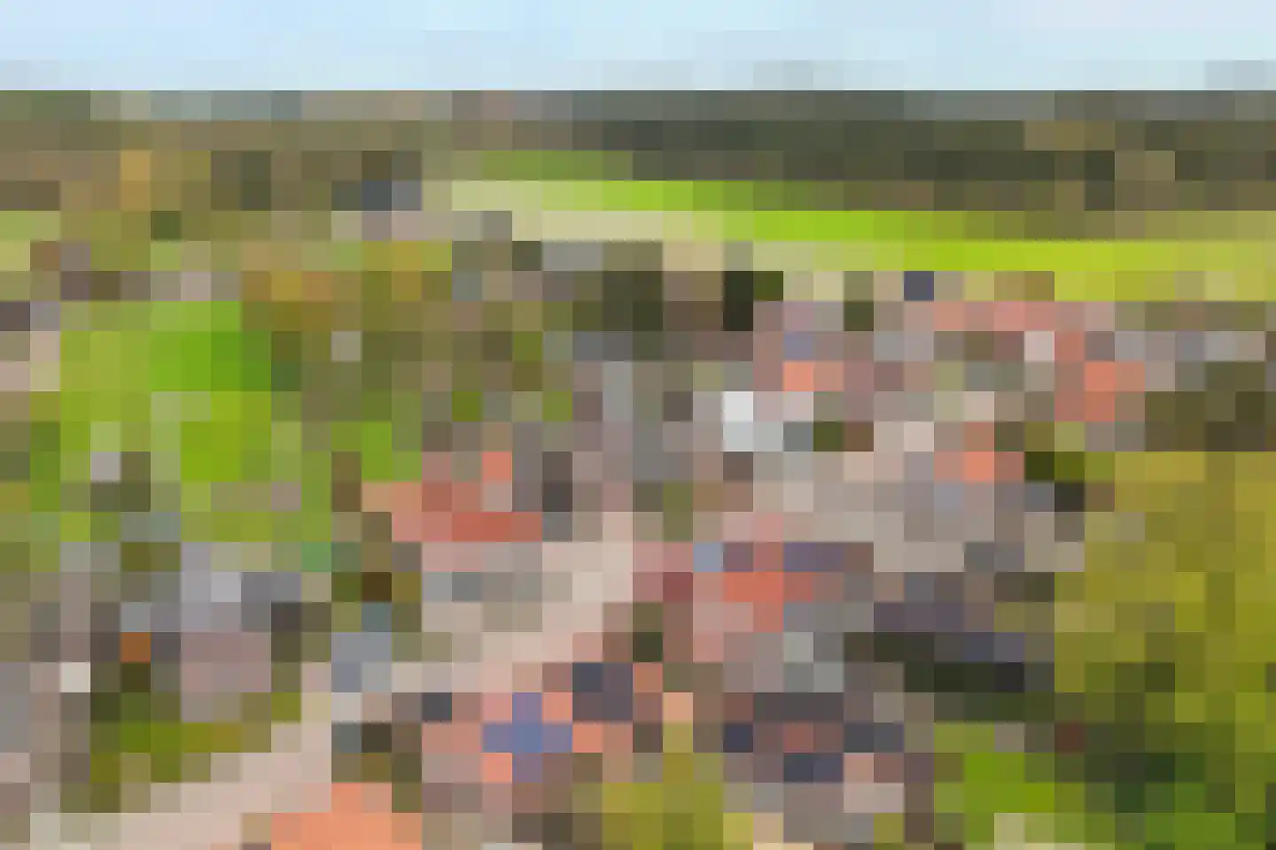 Verbindingsweg 33 Elst Ut thumbnail 60
