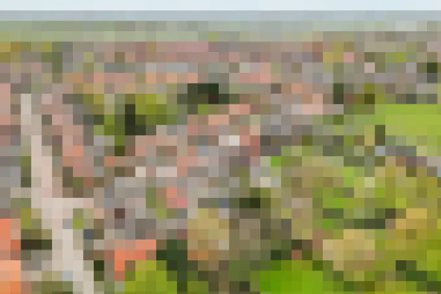 Verbindingsweg 33 Elst Ut thumbnail 62
