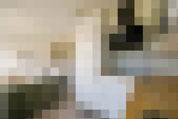 Verbindingsweg 43 Bloemendaal thumbnail 12