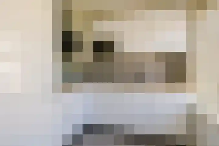 Verbindingsweg 43 Bloemendaal thumbnail 4