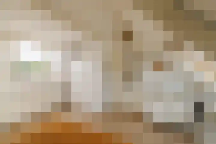 Verbindingsweg 45 Bloemendaal thumbnail 20