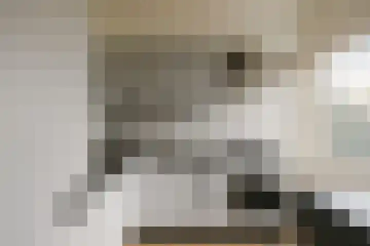 Verbindingsweg 45 Bloemendaal thumbnail 4