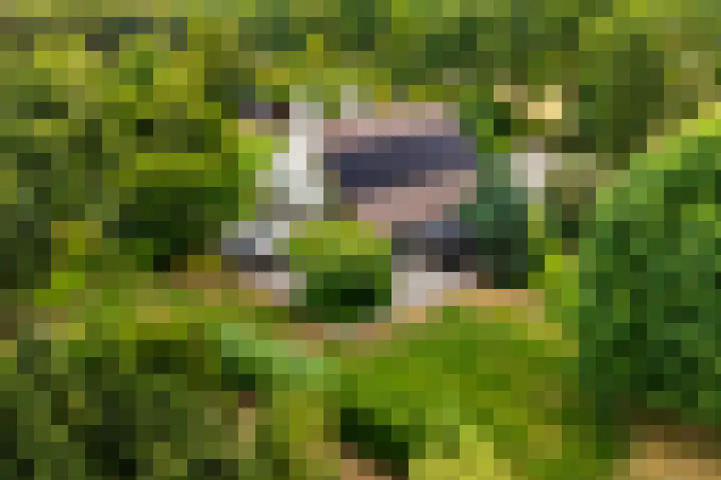 Verbindingsweg 5 in Overslag