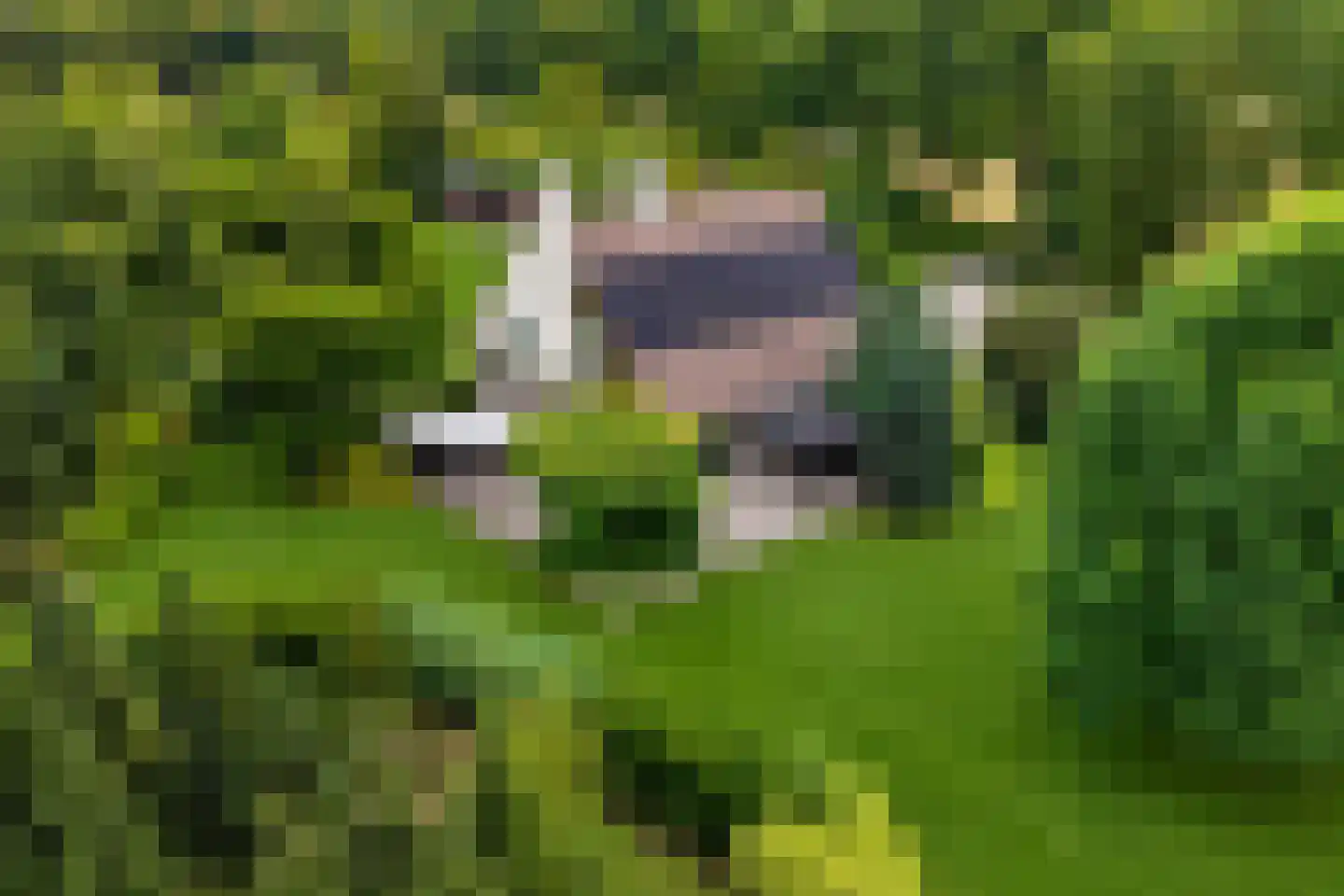 Verbindingsweg 5 in Overslag