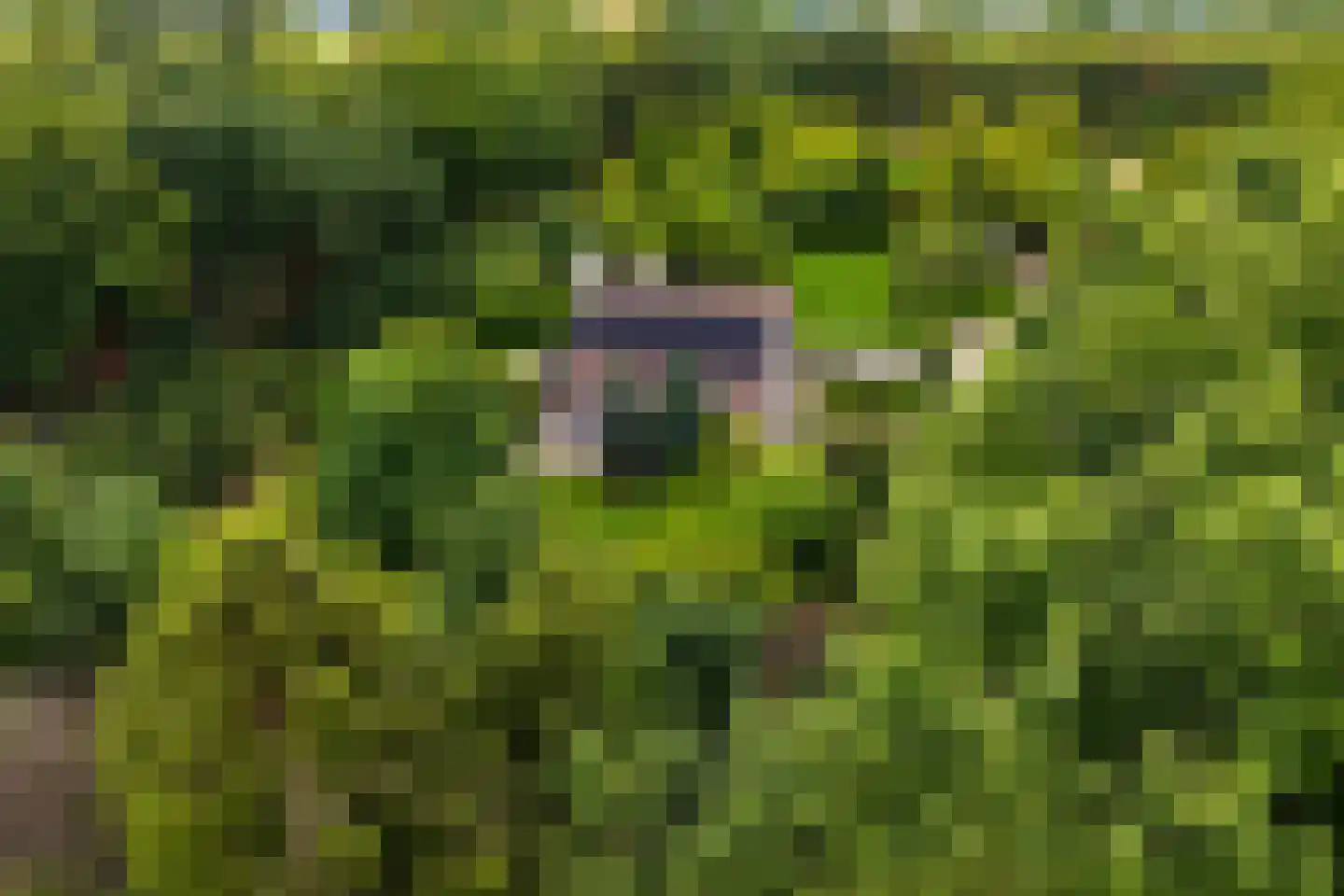 Verbindingsweg 5 Overslag thumbnail 4