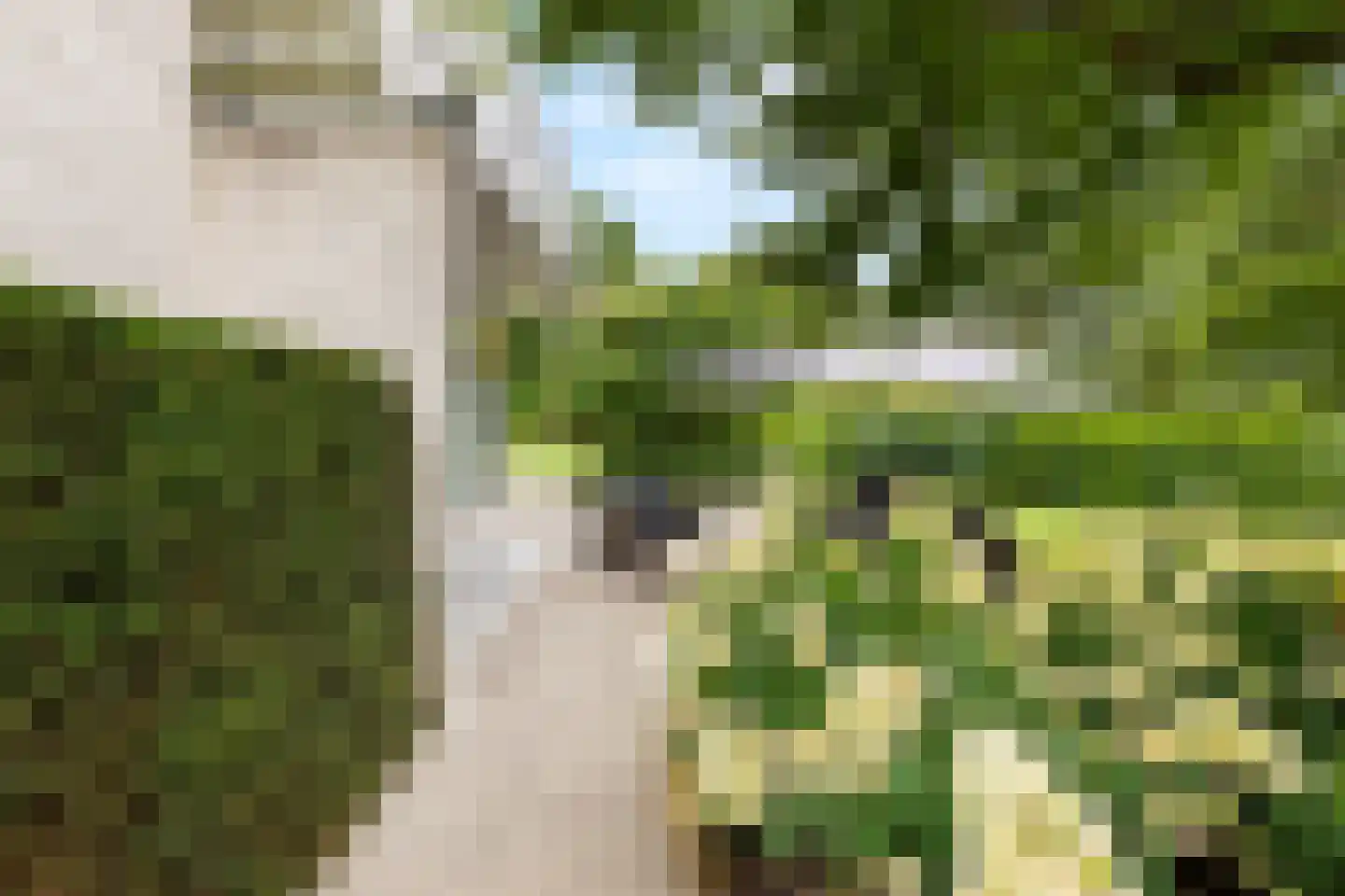 Verbindingsweg 5 Overslag thumbnail 42