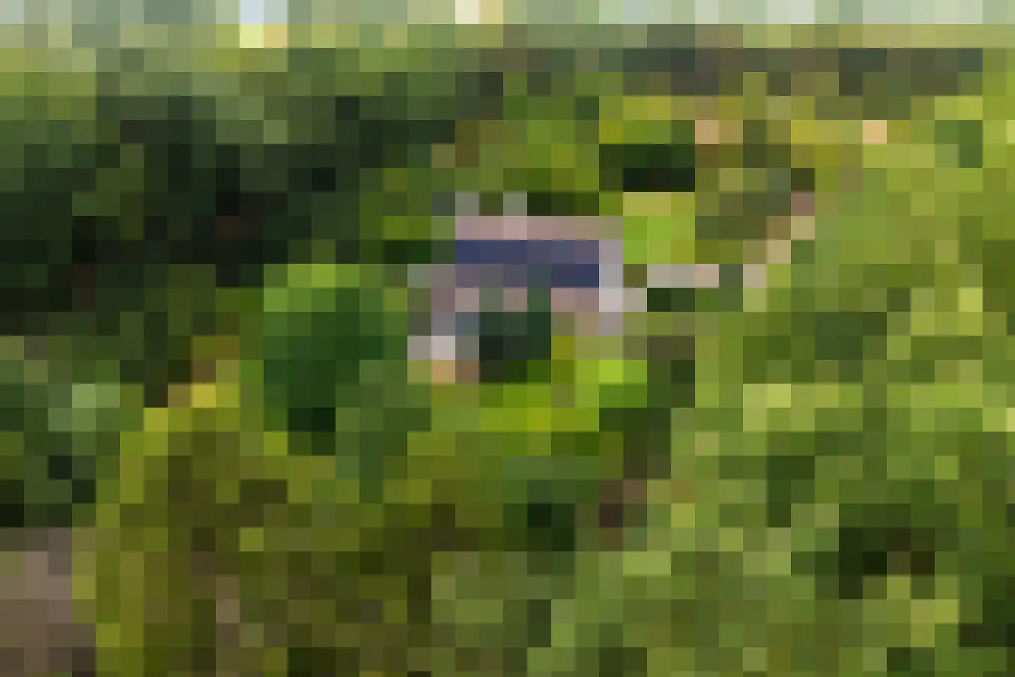 Verbindingsweg 5 Overslag thumbnail 47