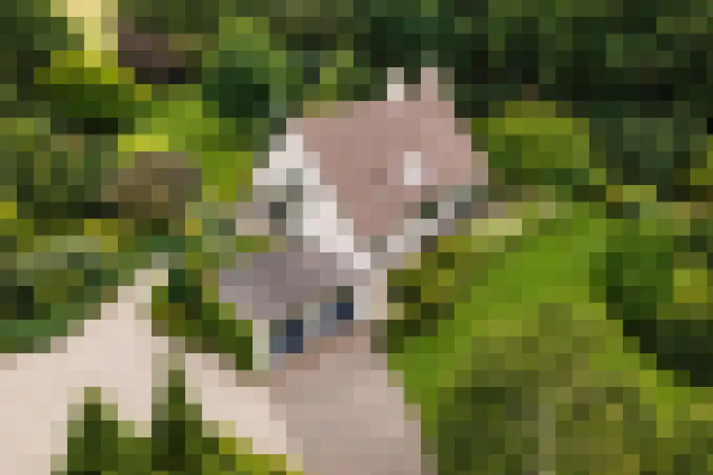 Verbindingsweg 5 Overslag thumbnail 49