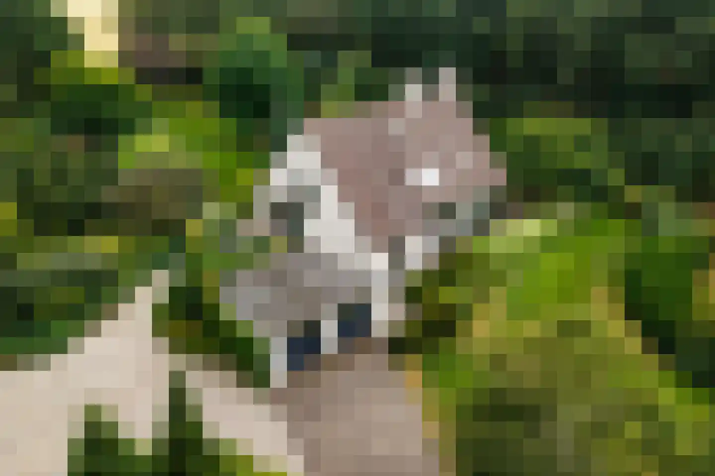 Verbindingsweg 5 Overslag thumbnail 49