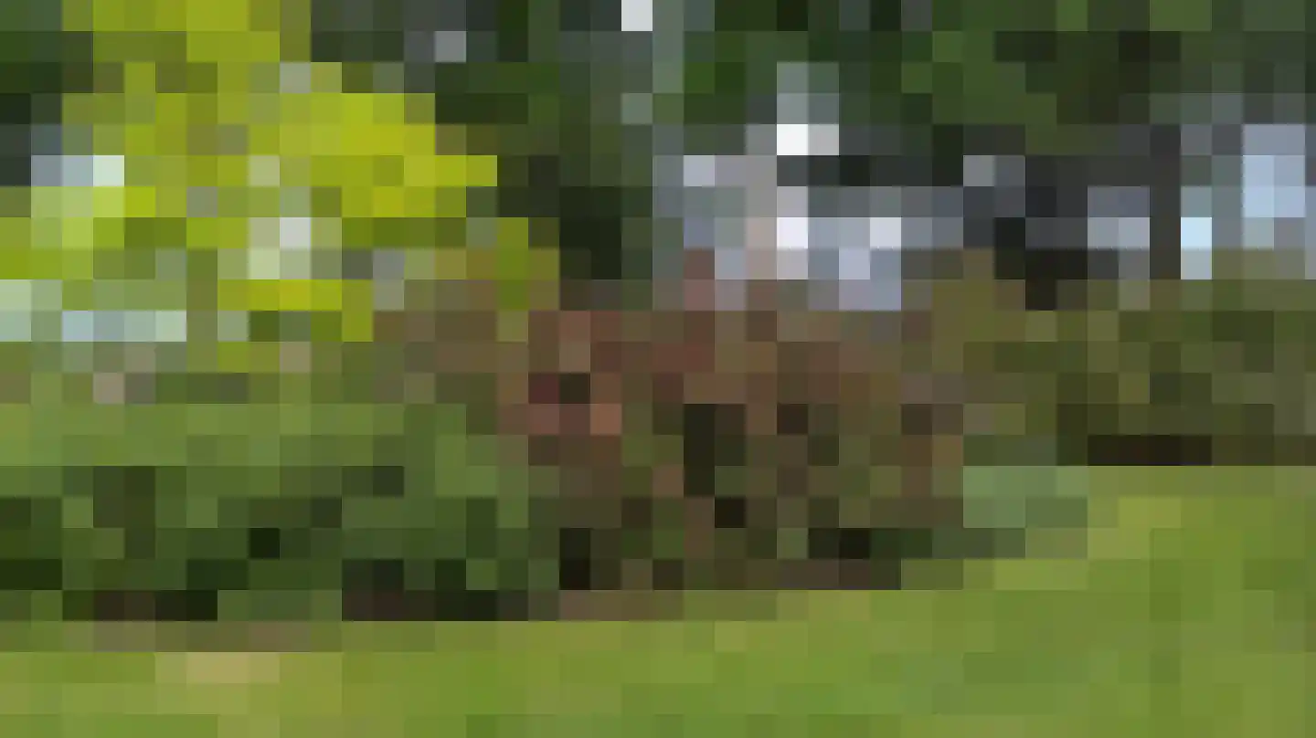 Verbindingsweg 5 Overslag thumbnail 52