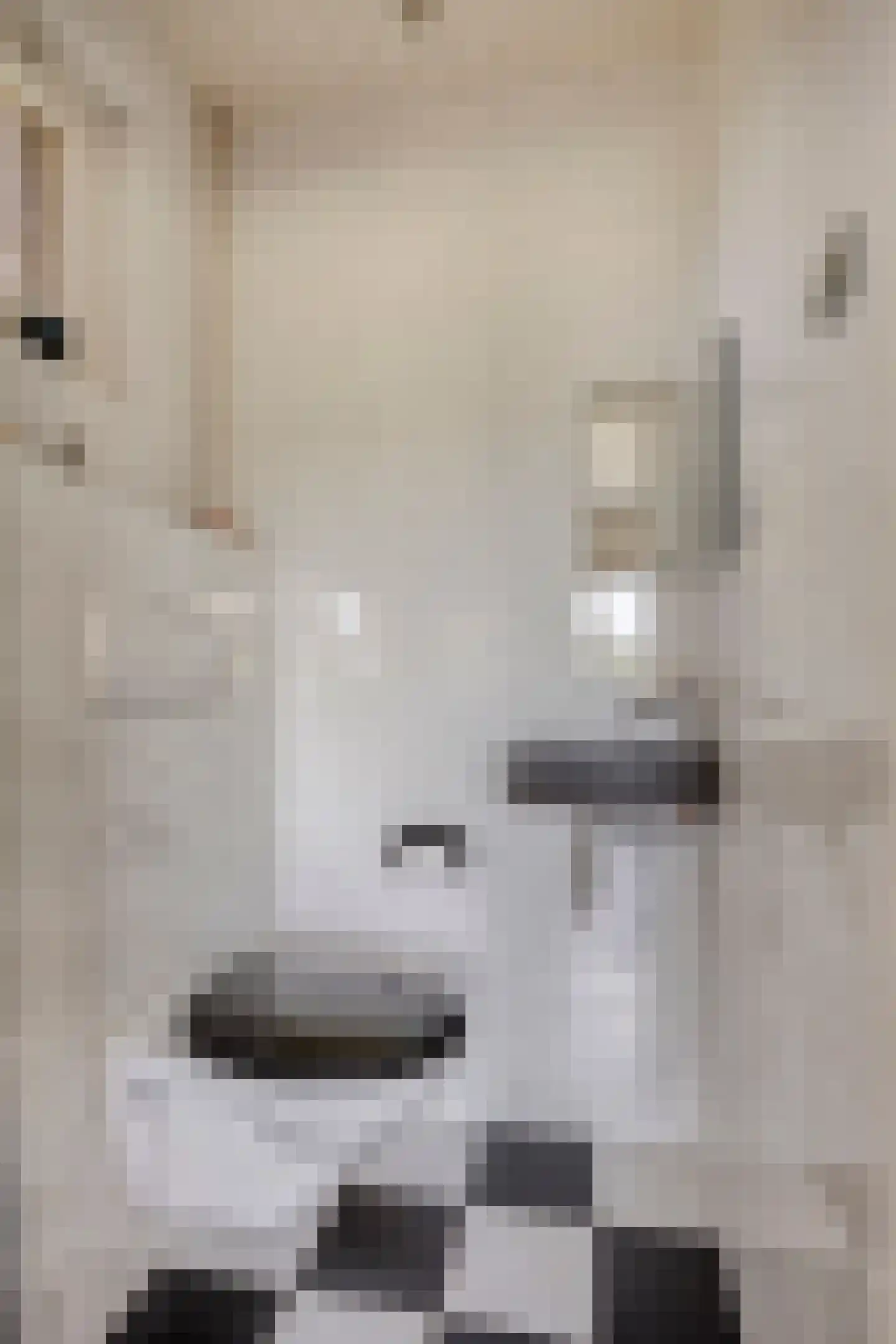 Verbindingsweg 5 Reek thumbnail 22