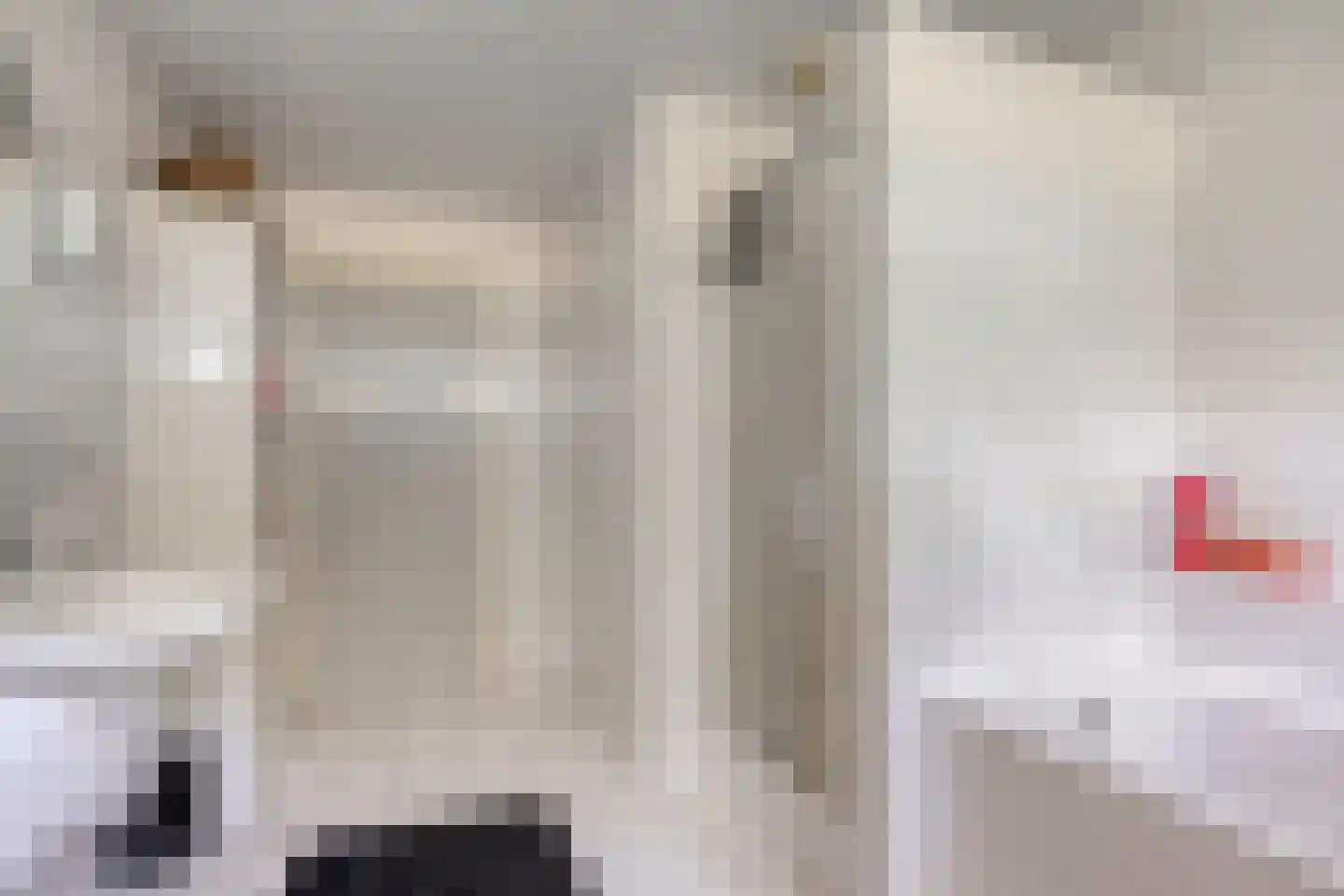 Verbindingsweg 5 Reek thumbnail 33