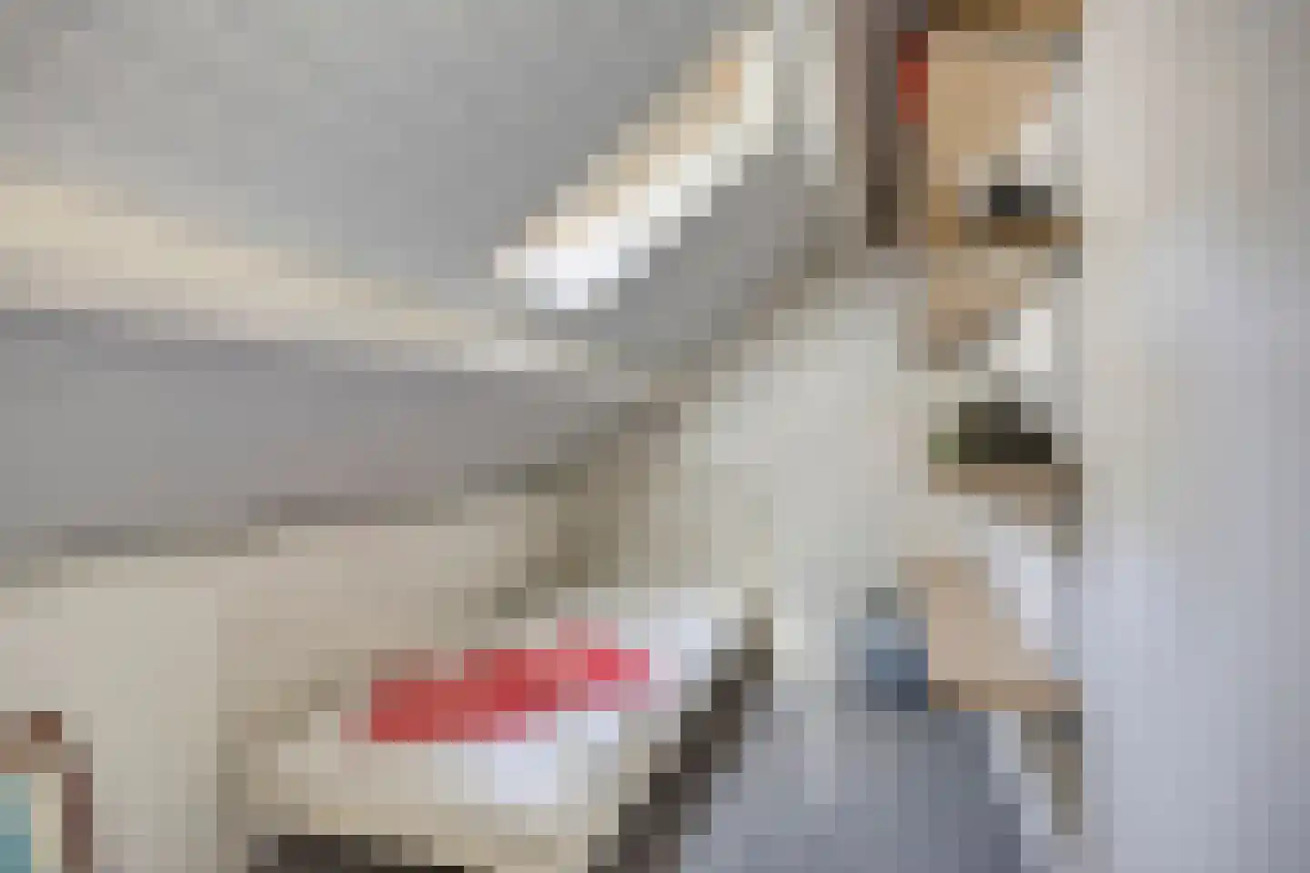 Verbindingsweg 5 Reek thumbnail 36