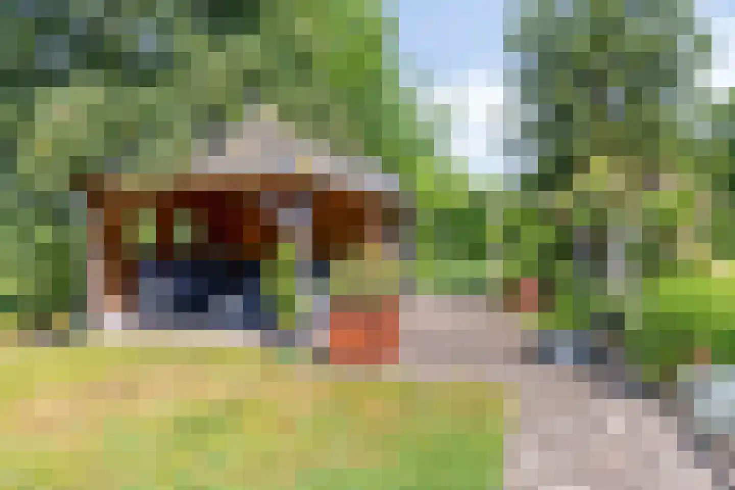 Verbindingsweg 5 Reek thumbnail 52