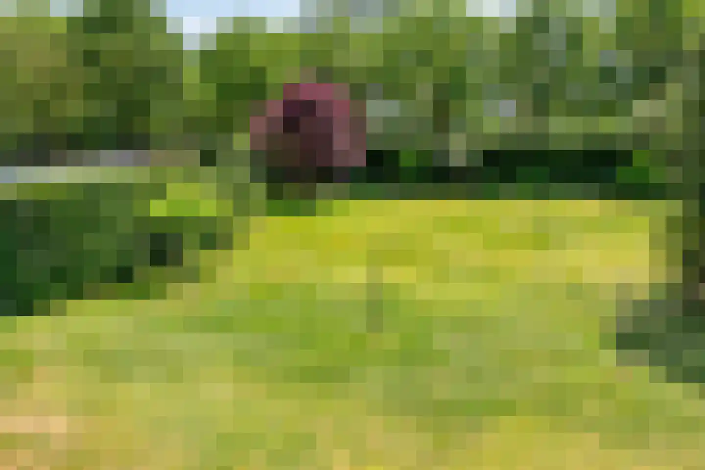 Verbindingsweg 5 Reek thumbnail 57