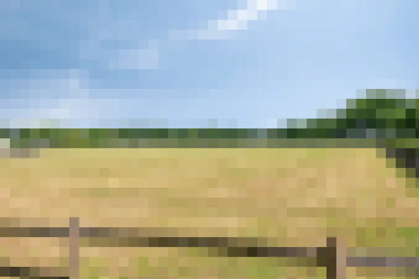 Verbindingsweg 5 Reek thumbnail 62