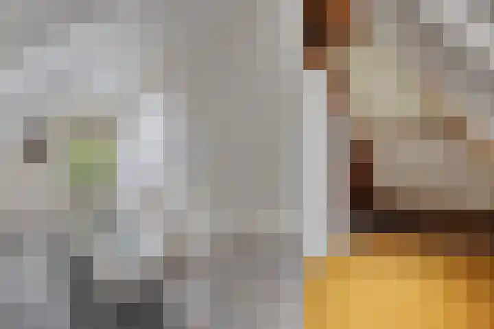 Verbindingsweg 5 Ureterp thumbnail 17
