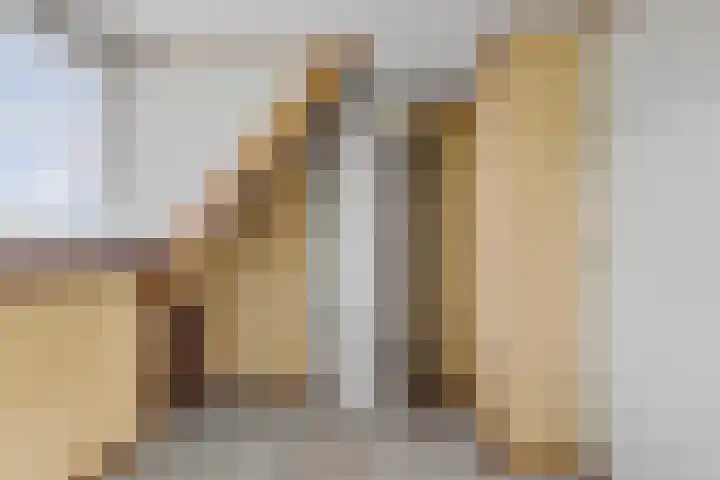 Verbindingsweg 5 Ureterp thumbnail 19