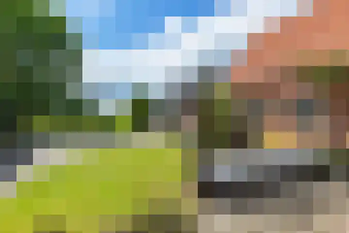 Verbindingsweg 5 Ureterp thumbnail 22
