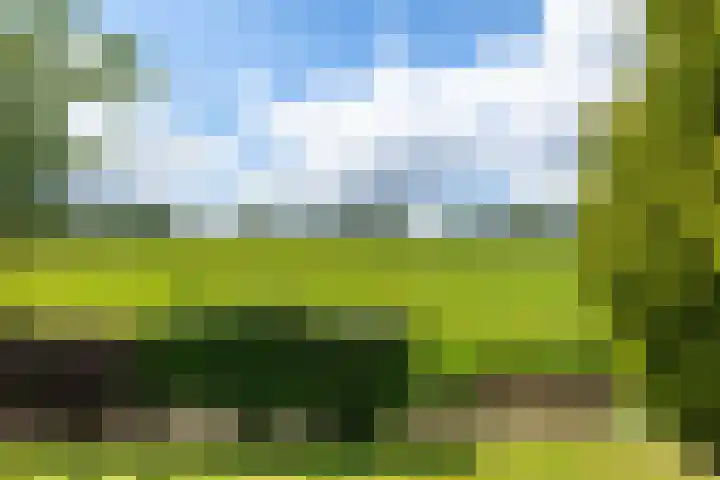 Verbindingsweg 5 Ureterp thumbnail 23