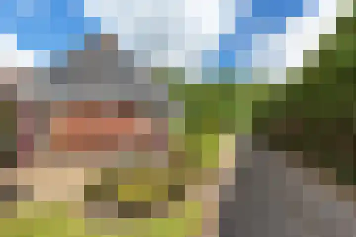 Verbindingsweg 5 Ureterp thumbnail 24