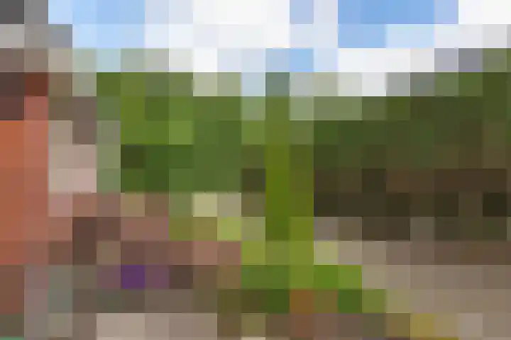 Verbindingsweg 5 Ureterp thumbnail 27