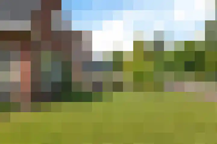 Verbindingsweg 5 Ureterp thumbnail 29