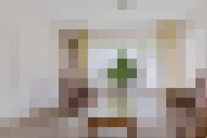 Verbindingsweg 5 Ureterp foto 3