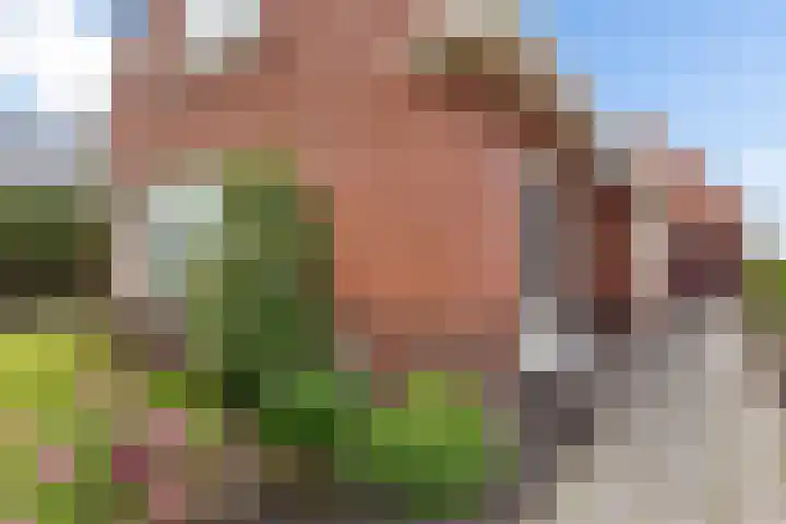 Verbindingsweg 5 Ureterp thumbnail 31