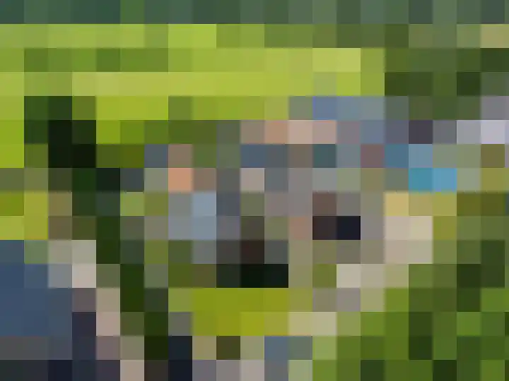 Verbindingsweg 5 Ureterp thumbnail 33